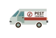 Pest Control Boom