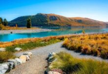 visit New Zealand from India