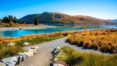 visit New Zealand from India