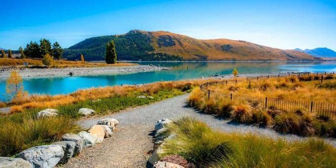visit New Zealand from India